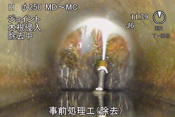 【工事中】　N市発注 木根除去工