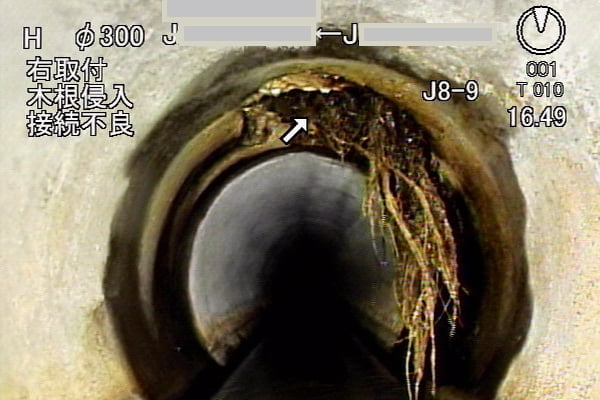 【工事中】　N市発注 木根除去工